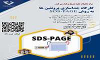 برگزاری کارگاه جداسازی پروتئین ها به روش SDS-PAGE